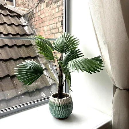 10 Popeshead 아파트